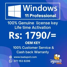 Windows 11 Pro [OEM]